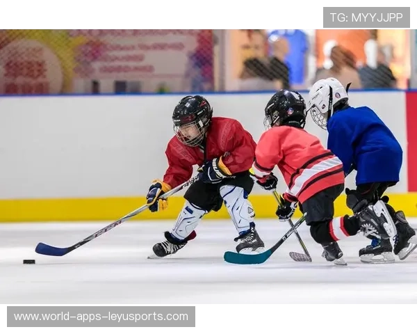 冰球训练场地和装备改善，提升运动员的竞技状态与安全，冰球初级训练教程
